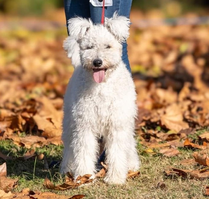 Kisködmönös Jegec Kekec